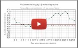 БТТ